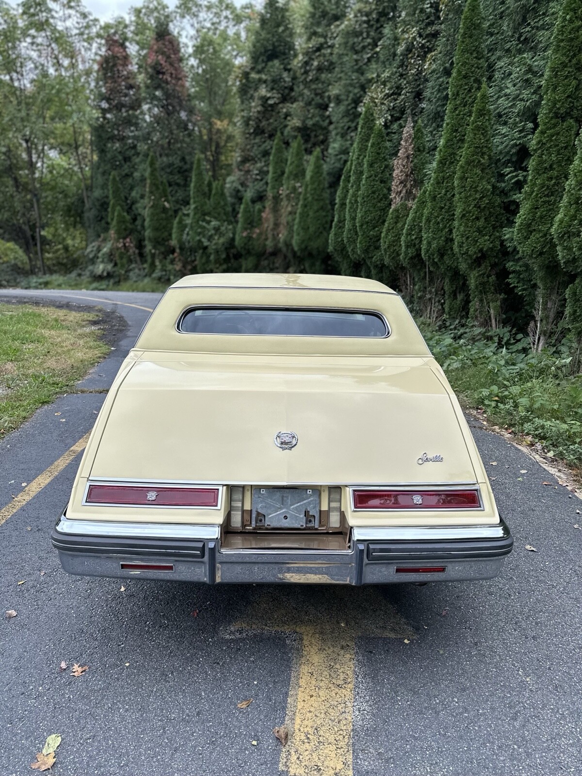 Cadillac-Seville-1980-4