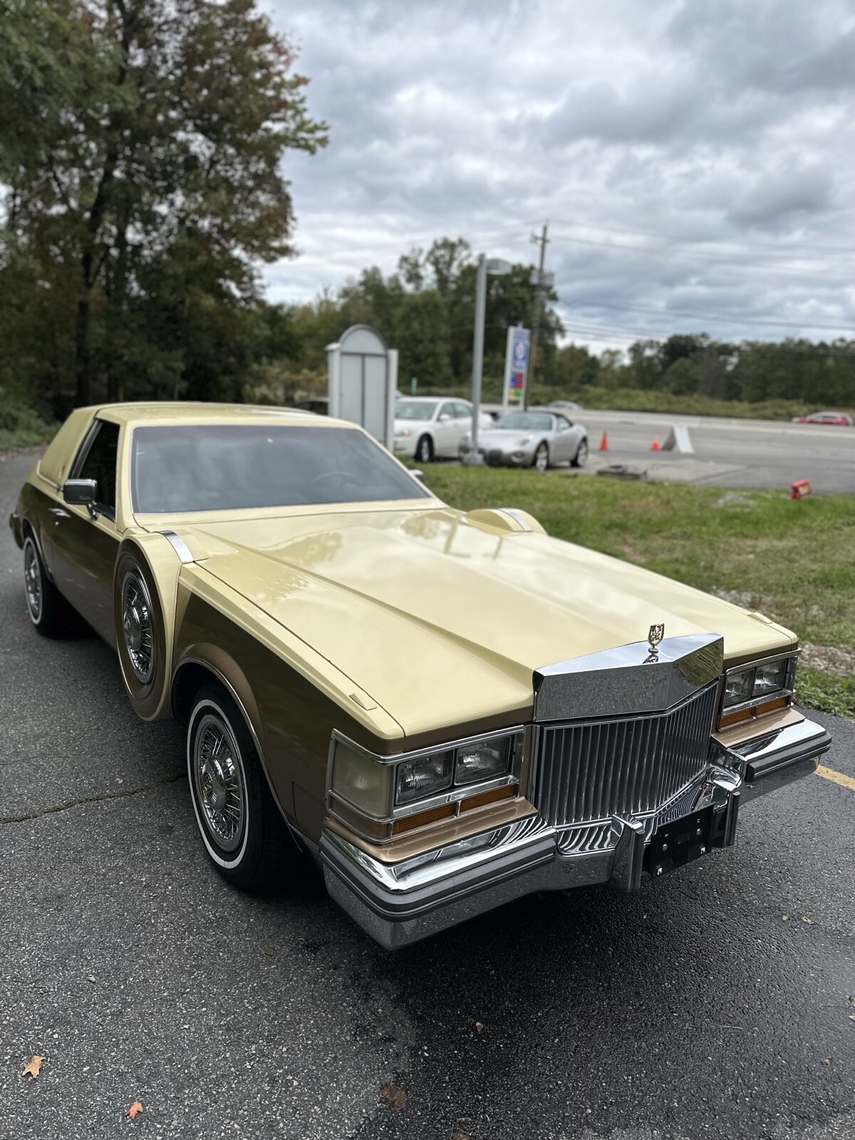Cadillac-Seville-1980-6