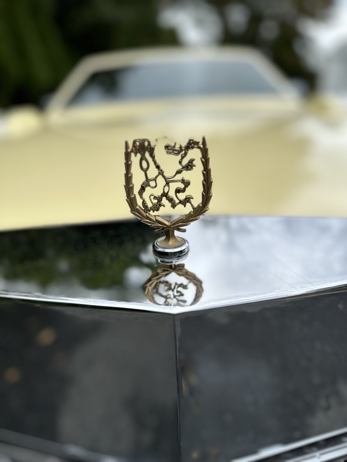 Cadillac-Seville-1980-7