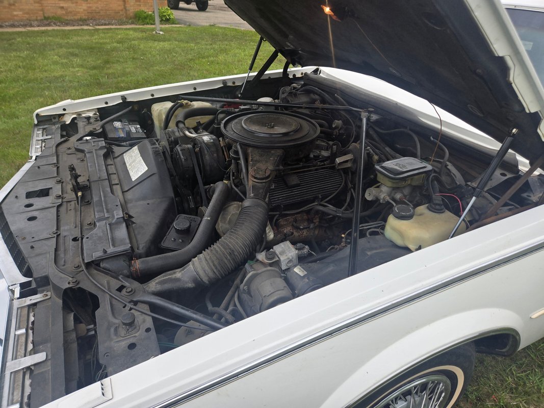 Cadillac-Seville-1985-23