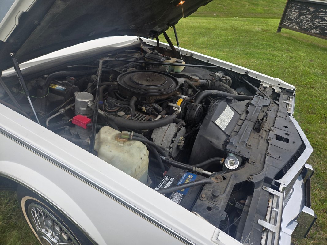 Cadillac-Seville-1985-24