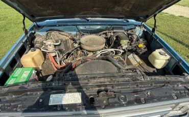 Chevrolet-1500-1986-blue-7