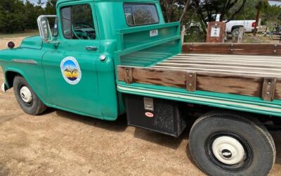 Chevrolet   1956 green
