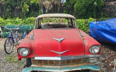 Chevrolet   1956 white