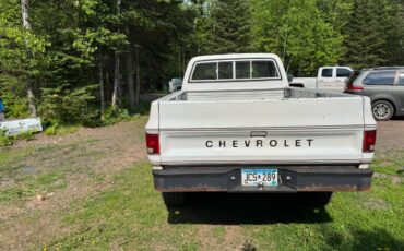 Chevrolet-1977-white-4