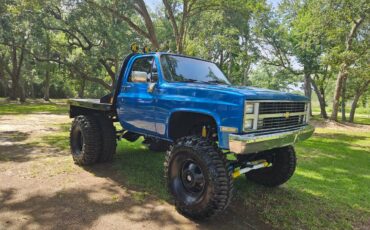 Chevrolet-1984-blue-13