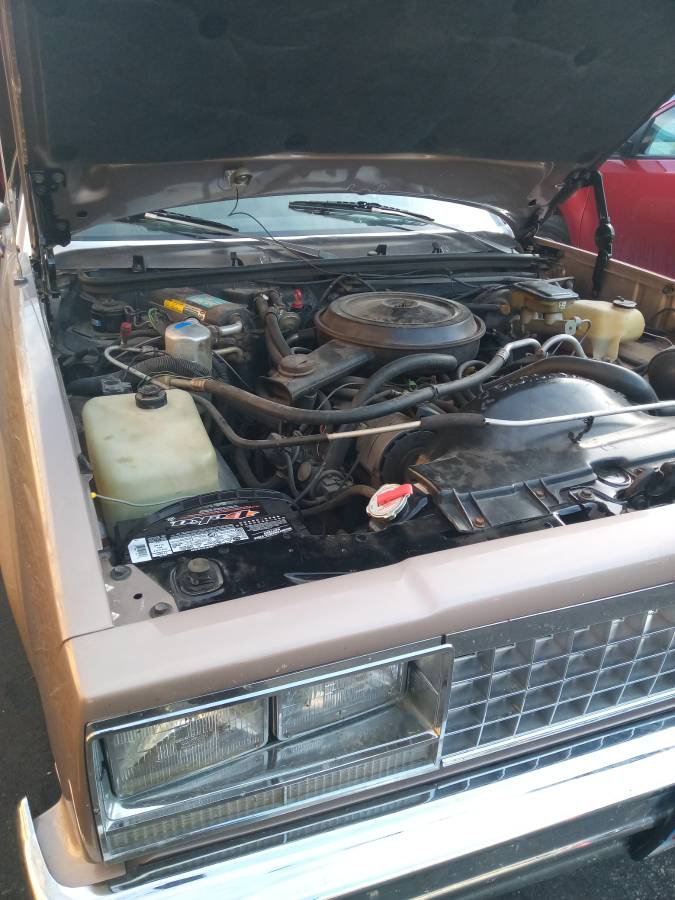 Chevrolet-1984-brown-1