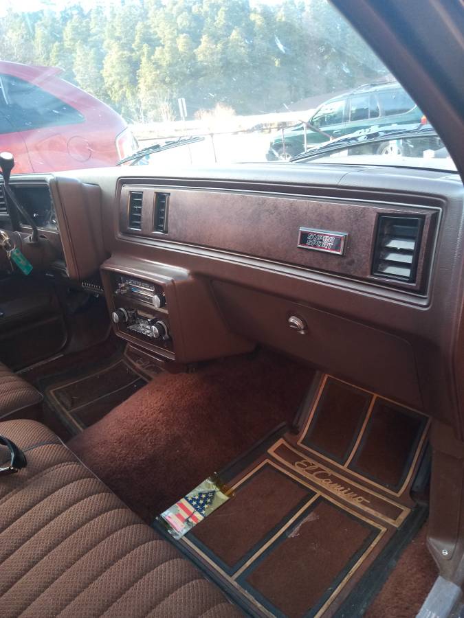 Chevrolet-1984-brown-12