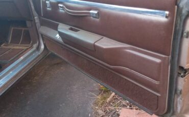 Chevrolet-1984-brown-13