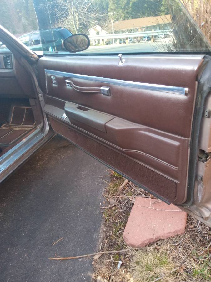 Chevrolet-1984-brown-13