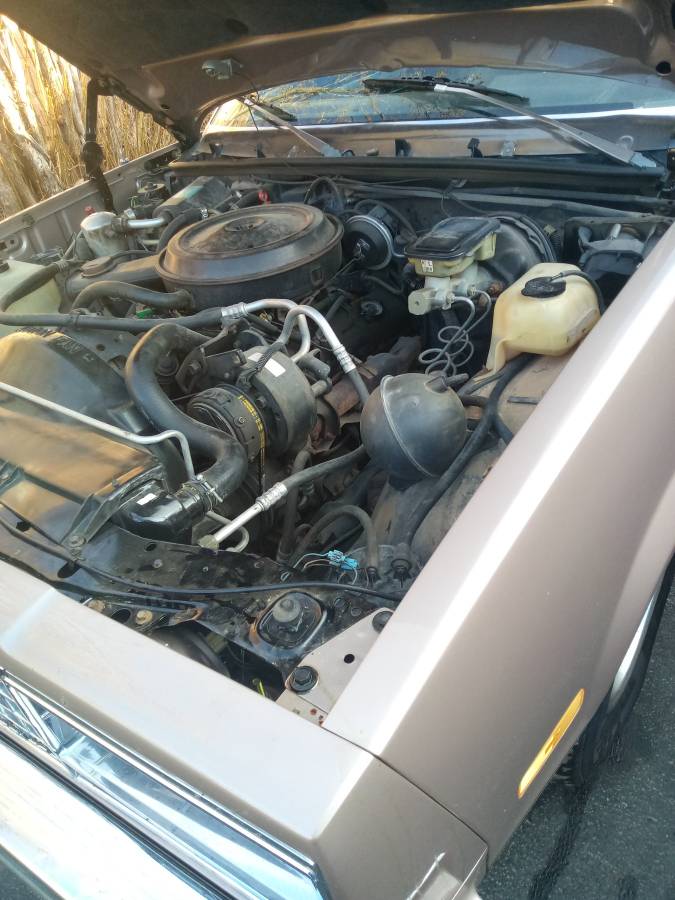 Chevrolet-1984-brown-2
