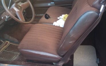 Chevrolet-1984-brown-5