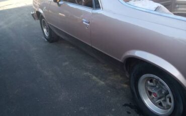 Chevrolet-1984-brown-7