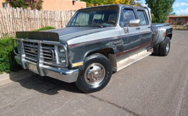 Chevrolet-1987-Chevrolet-R30-1987-Standard-Cab-Pickup-9