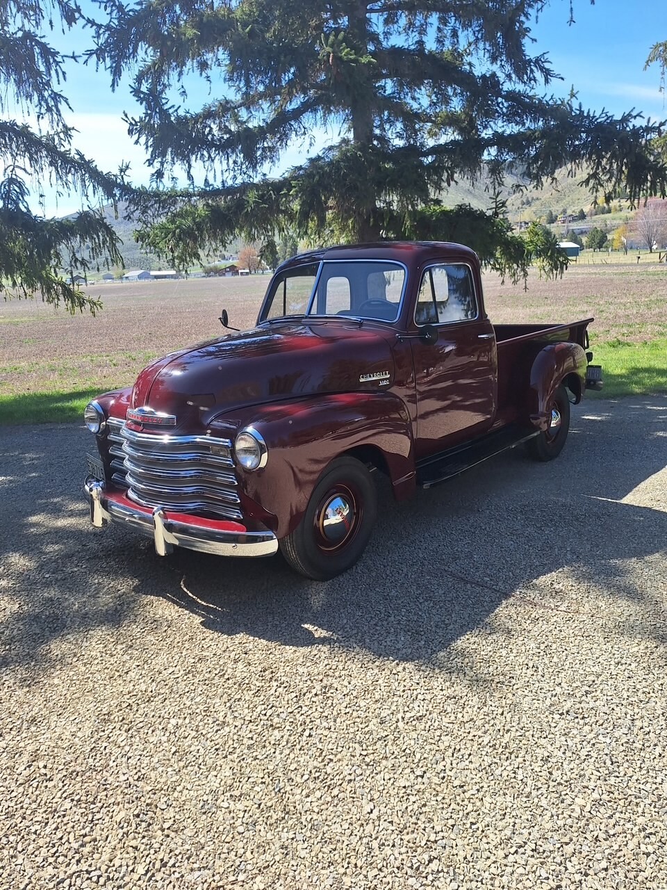 Chevrolet 3100 1951