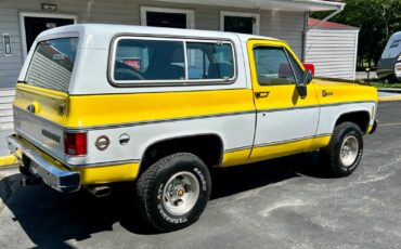 Chevrolet-Blazer-1978-11