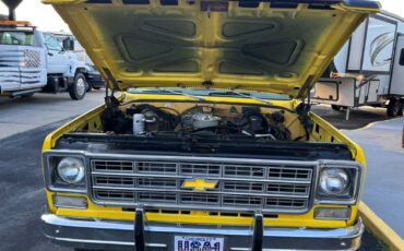 Chevrolet-Blazer-1978-23