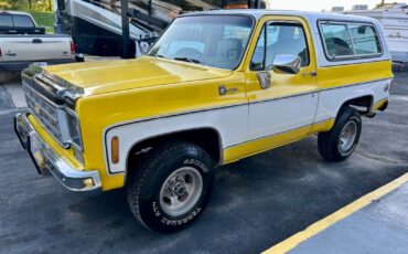Chevrolet-Blazer-1978-6