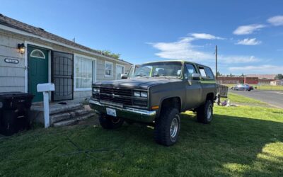 Chevrolet Blazer  1990 grey