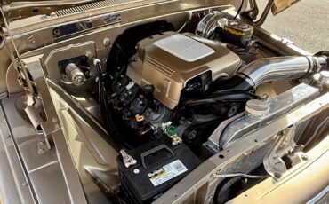 Chevrolet-C-10-1960-14