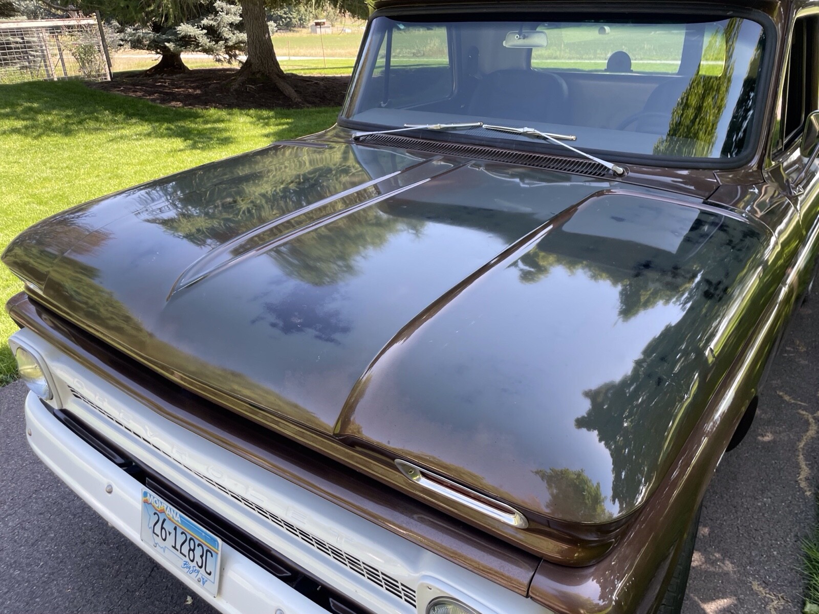 Chevrolet-C-10-1966-3