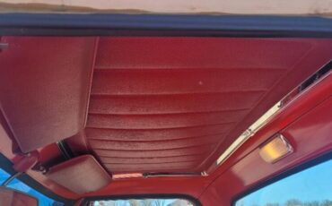 Chevrolet-C-10-1969-7
