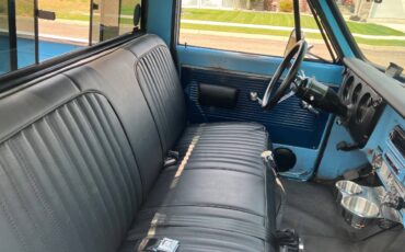 Chevrolet-C-10-1969-custom-10