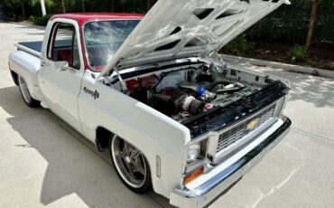 Chevrolet-C-10-1973-1