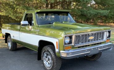 Chevrolet-C-10-1973-Standard-Cab-Pickup-1
