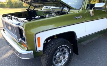Chevrolet-C-10-1973-Standard-Cab-Pickup-10
