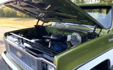 Chevrolet-C-10-1973-Standard-Cab-Pickup-15