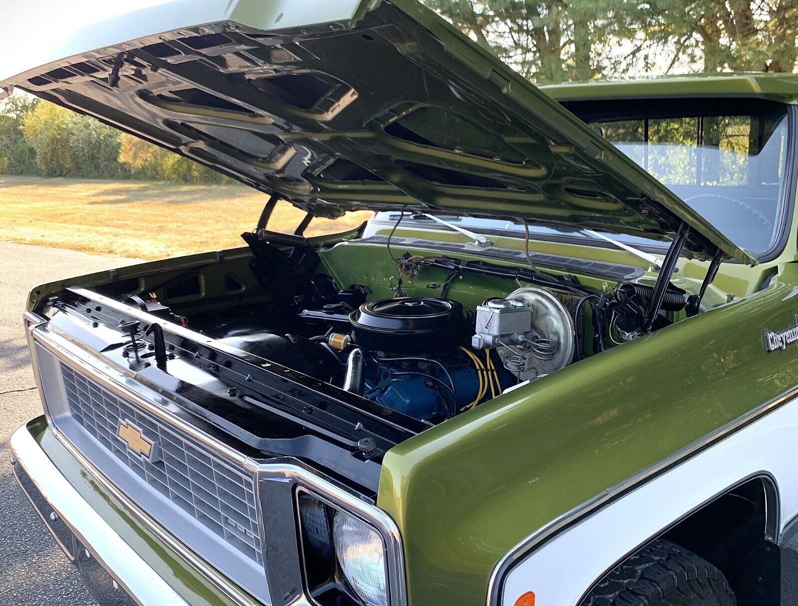 Chevrolet-C-10-1973-Standard-Cab-Pickup-15