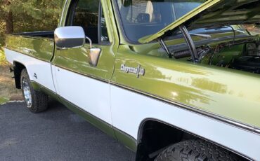 Chevrolet-C-10-1973-Standard-Cab-Pickup-16