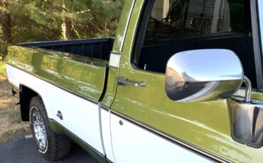 Chevrolet-C-10-1973-Standard-Cab-Pickup-17