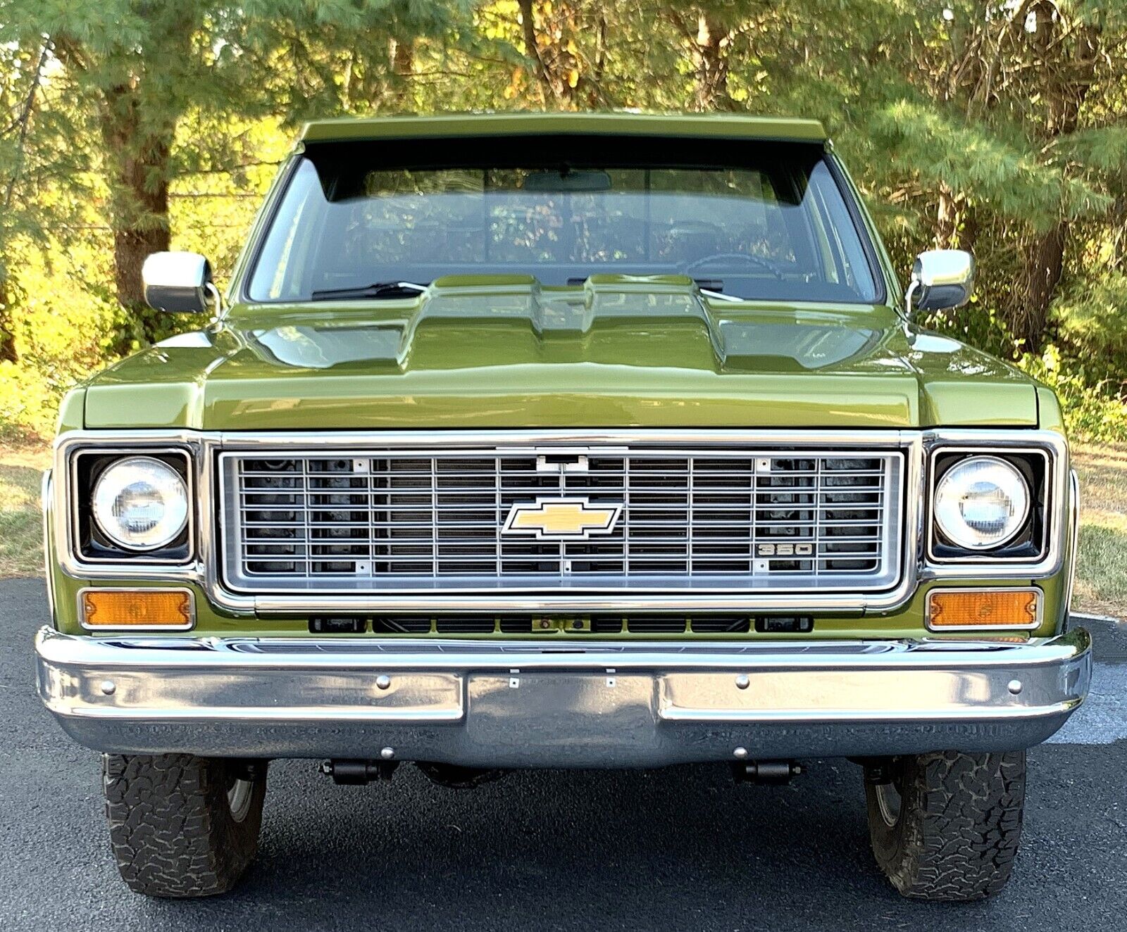 Chevrolet-C-10-1973-Standard-Cab-Pickup-2