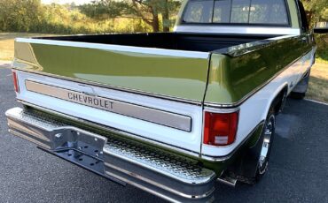 Chevrolet-C-10-1973-Standard-Cab-Pickup-29