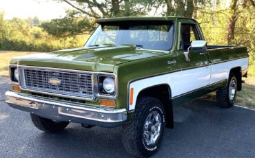 Chevrolet-C-10-1973-Standard-Cab-Pickup-3