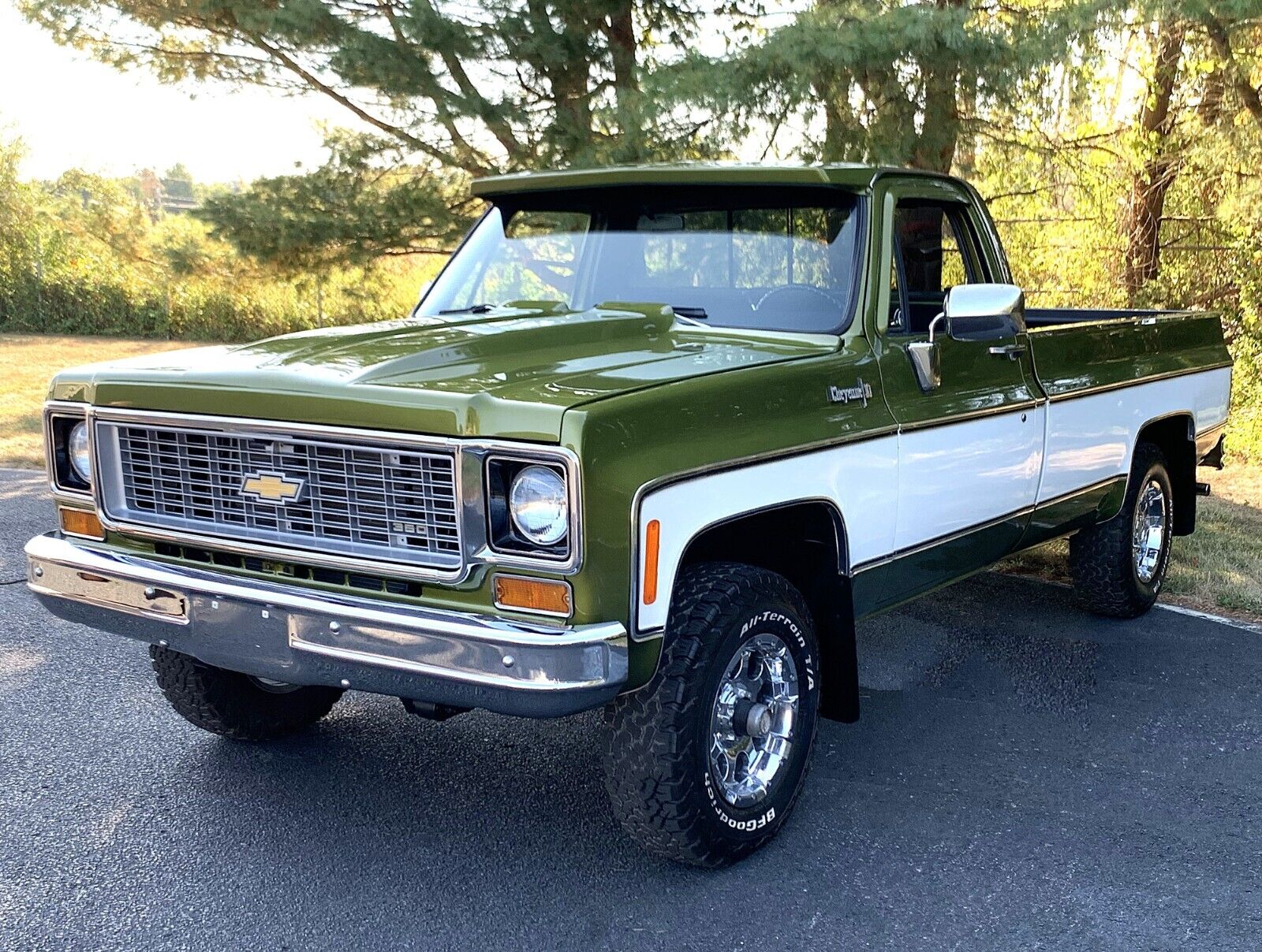 Chevrolet-C-10-1973-Standard-Cab-Pickup-3
