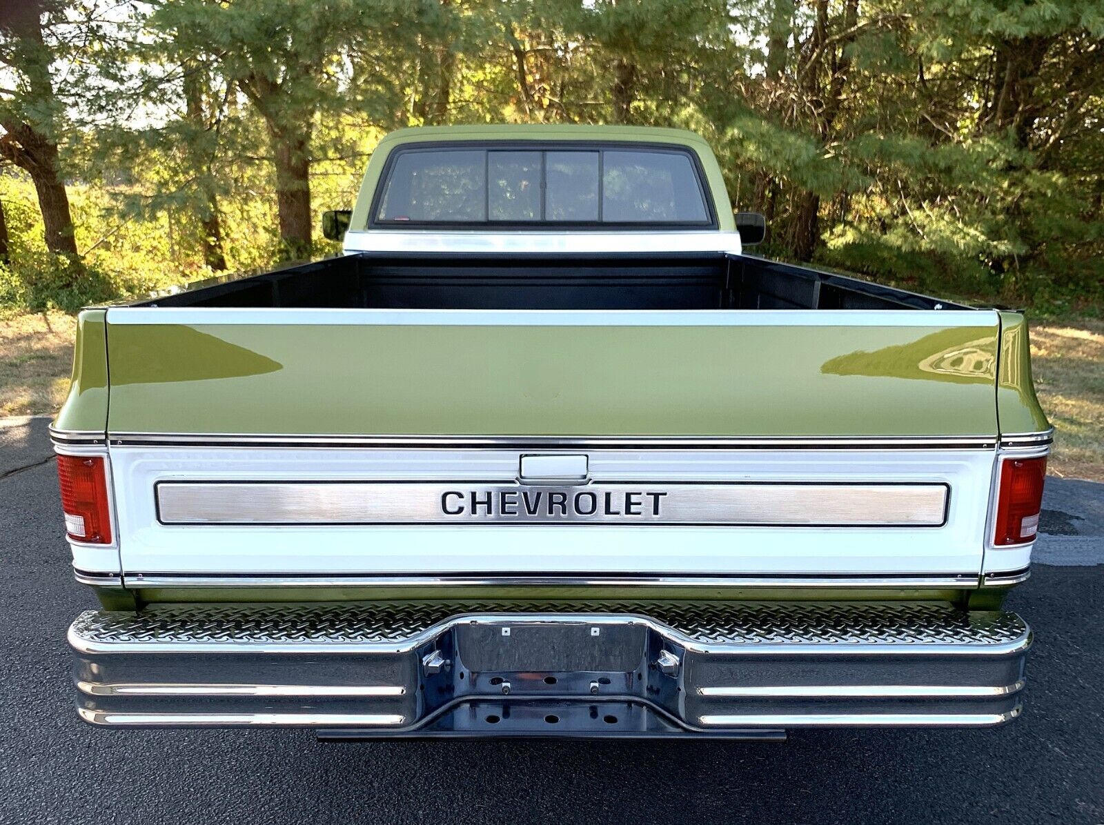 Chevrolet-C-10-1973-Standard-Cab-Pickup-32
