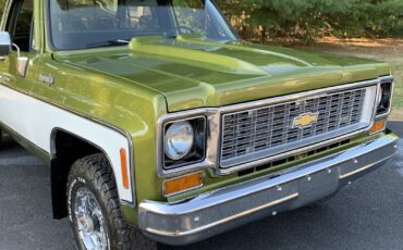 Chevrolet-C-10-1973-Standard-Cab-Pickup-4