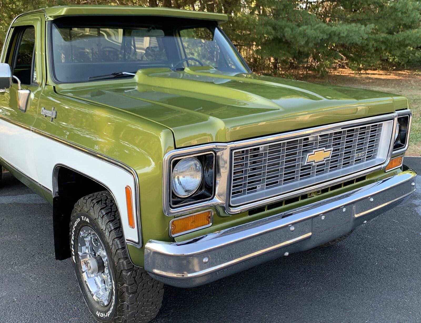 Chevrolet-C-10-1973-Standard-Cab-Pickup-4