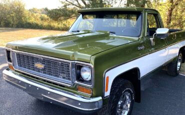 Chevrolet-C-10-1973-Standard-Cab-Pickup-6