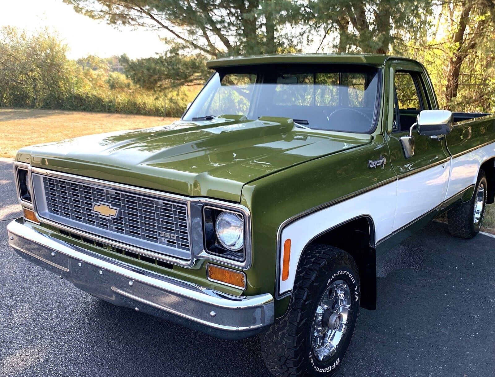 Chevrolet-C-10-1973-Standard-Cab-Pickup-6