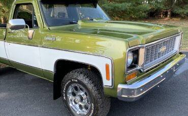 Chevrolet-C-10-1973-Standard-Cab-Pickup-7