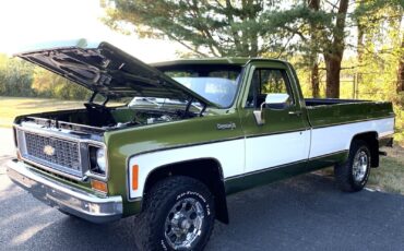 Chevrolet-C-10-1973-Standard-Cab-Pickup-8