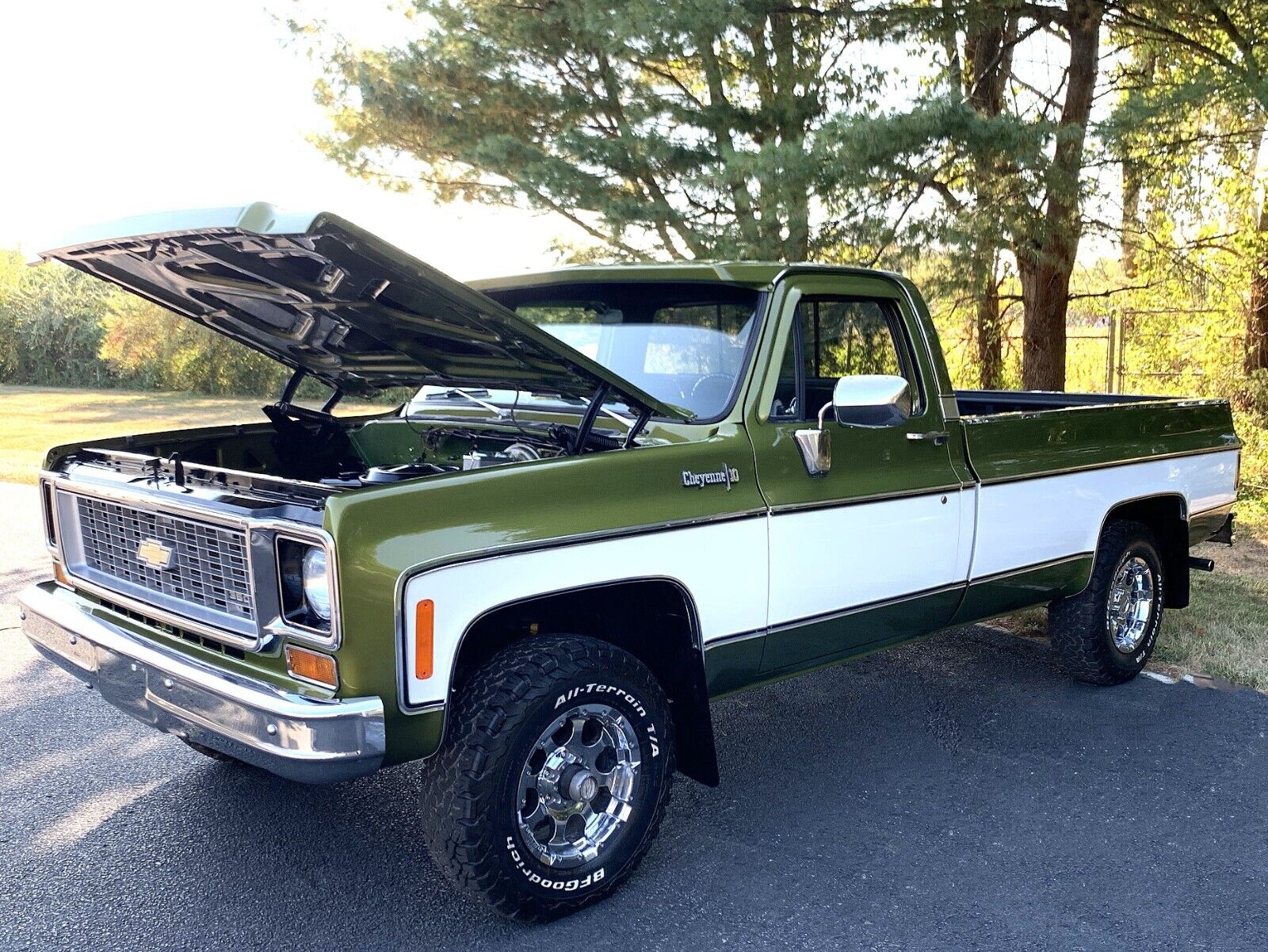 Chevrolet-C-10-1973-Standard-Cab-Pickup-8
