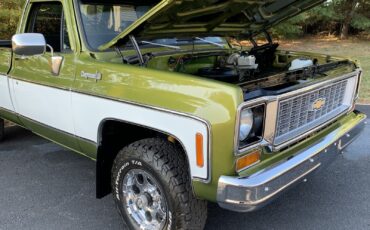 Chevrolet-C-10-1973-Standard-Cab-Pickup-9