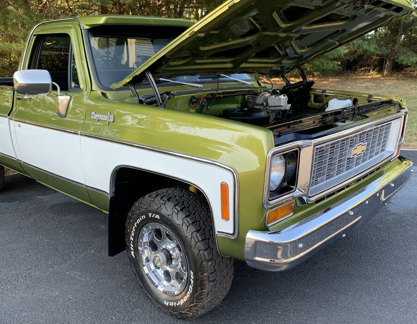Chevrolet-C-10-1973-Standard-Cab-Pickup-9