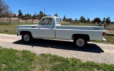 Chevrolet-C-10-1974-1