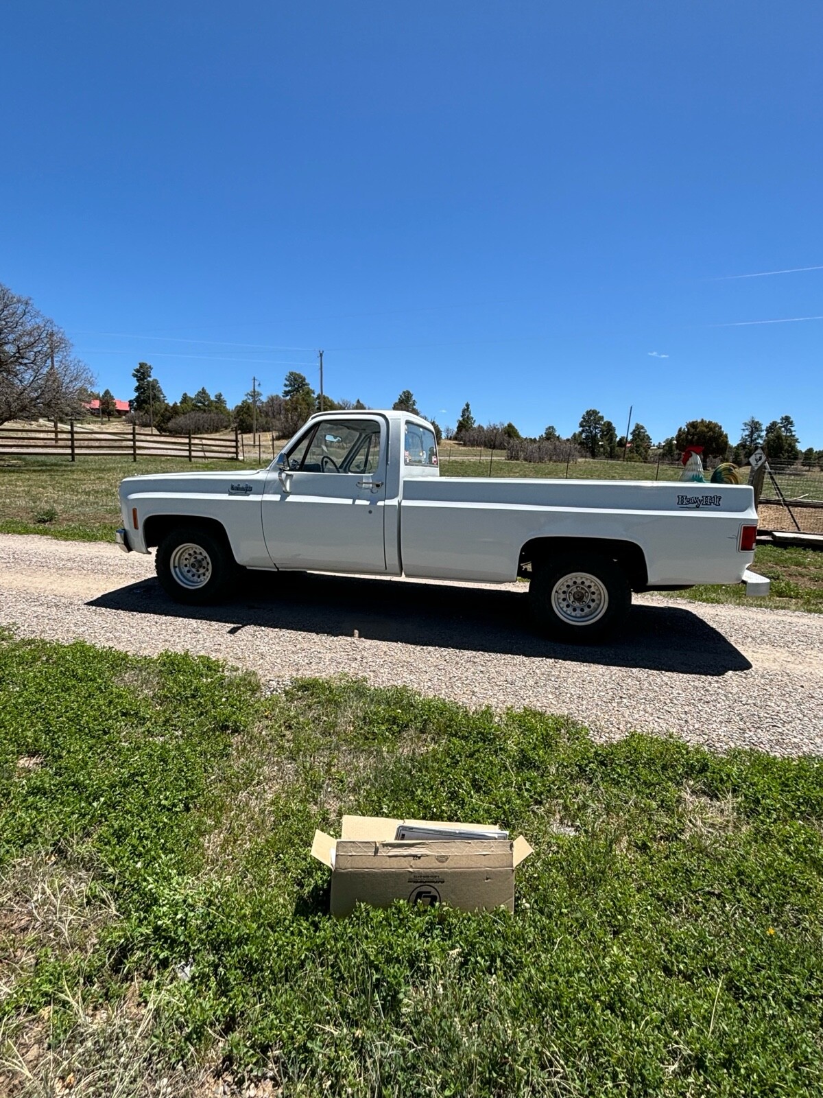 Chevrolet-C-10-1974-1